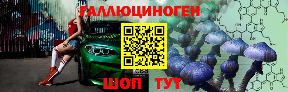Черногорск  Псилоцибиновые грибы ЛСД  Вход с VPN 